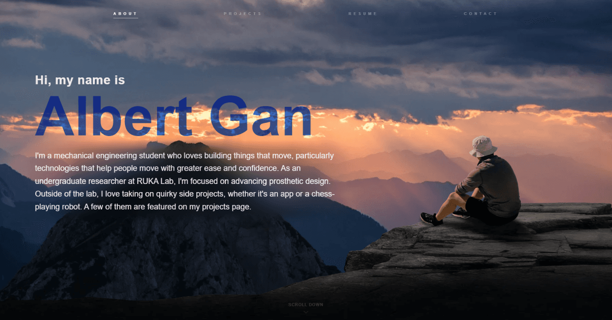 Albert's portfolio website cover